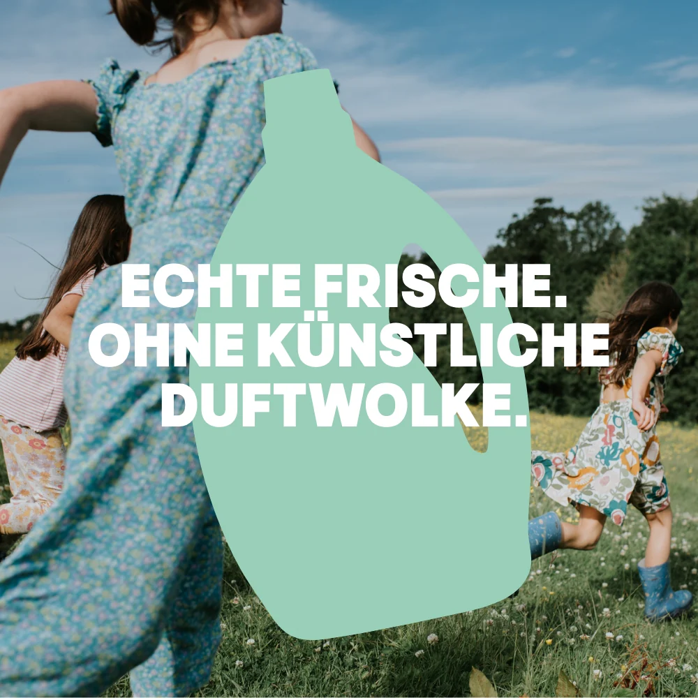 Vorschaubild 7