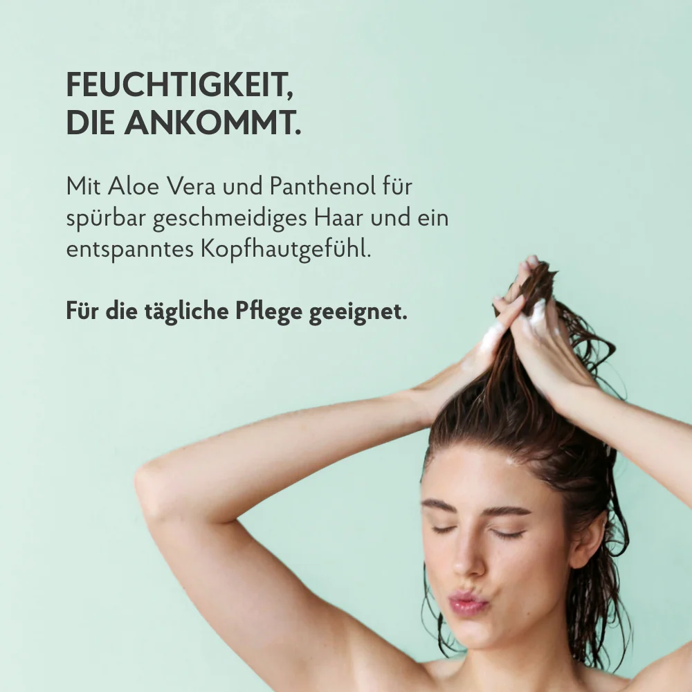 Vorschaubild 5